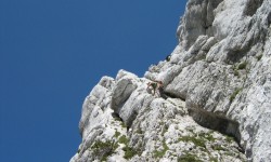 IMG_2865 IMG_2865